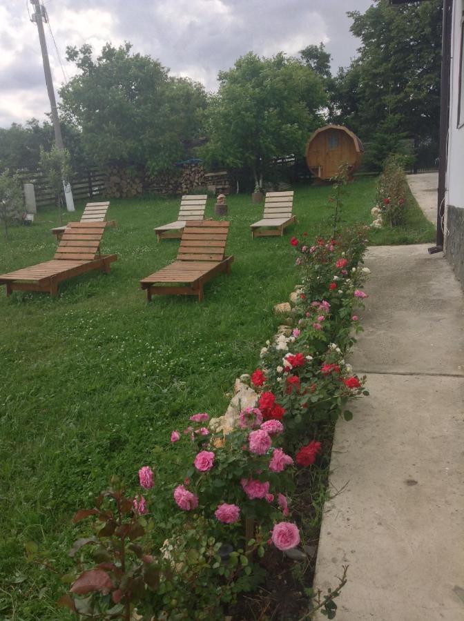 Elder Villa 브란 외부 사진